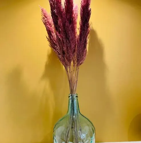 Apartamento Le Belloc- Suberbe T1 Bis - Au Calme - Terrasse - Vue Jardin Agen