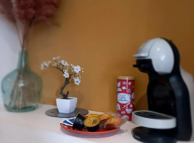 Apartman Le Belloc- Suberbe T1 Bis - Au Calme - Terrasse - Vue Jardin